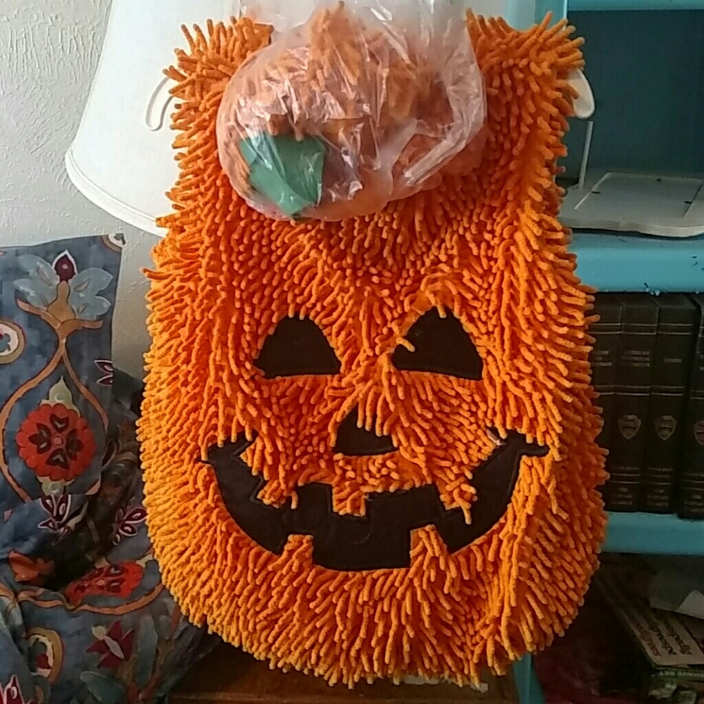Pumpkin costume